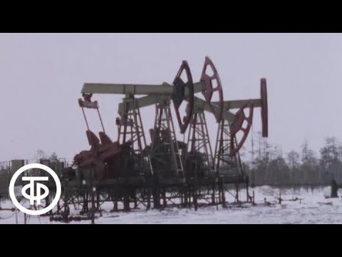 День работников топливной промышленности. Вагит Алекперов и Богуслав Сандурский (1987)