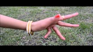BLAS Elegance 2016 - Jyoti promo