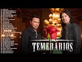 Las Mejores Canciones De Los Temerarios - Los Temerarios Lo Más Romántico Para Enamorados
