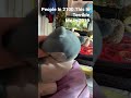 Dancing Snorlax #nostalgia#snorlax#2019