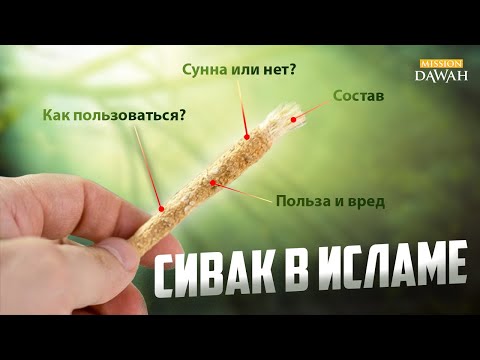 Сивак в Исламе - В чем польза и преимущество мисвака (сивака)?