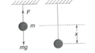 Q30 Bob attached to string pulled down, find time period| physics galaxy solutions| #jeemains #neet