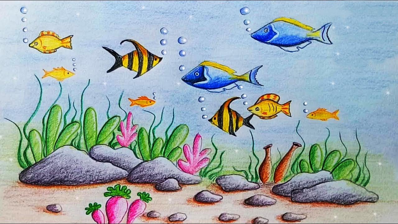 Sea drawing, Sea creatures drawing, Easy drawings