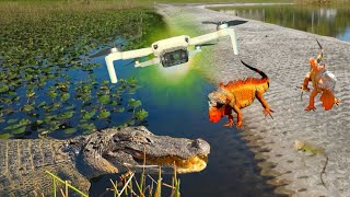 DJI Mini 4K - The BEST DRONE To Record WILDLIFE!!!