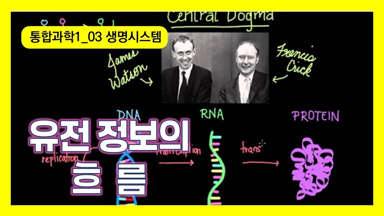 [통합과학1] 3 생명시스템: 세포내 유전정보의 흐름 - YouTube