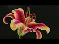 Unique Hand Embroidery - Lily Flower Embroidery