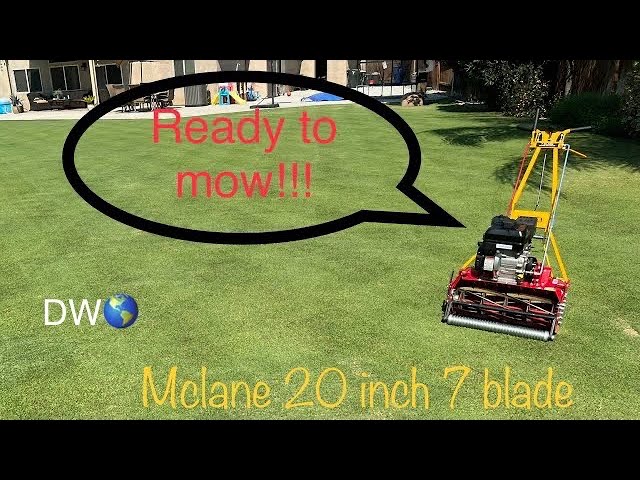 Reel Mowing - Mclane 20 inch 7 blade reel mower - Briggs and Stratton 