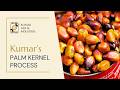 Palm kernel oil extraction | Mechanical pressing and solvent extraction