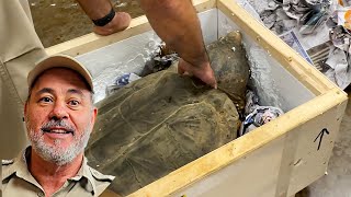 Unboxing A Prehistoric Turtle😳