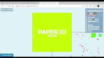 AgarPaper.io one of the world records