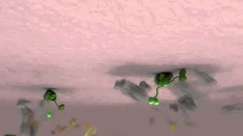 Clathrin Mediated Endocytosis by Janet Iwasa and Tom Kirchhausen 2012