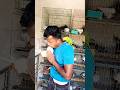 Kabutar status shorts status delhipigeonlover care viral world pigeon shortfyp