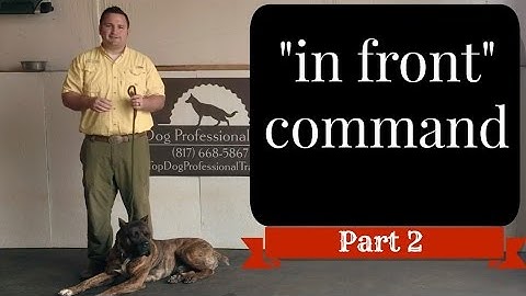 "In Front" command part 2 of 3 (public access) @TopDogTx