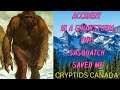 CC EPISODE 522  ACCIDENT IN A SNOWSTORM. 2 SASQUATCH SAVED ME