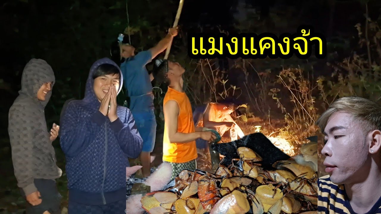 เยืองแมงแคง ได้หลายๆพี่น้อง