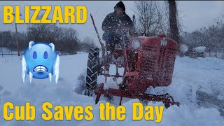 BLIZZARD | Cub Saves the Day