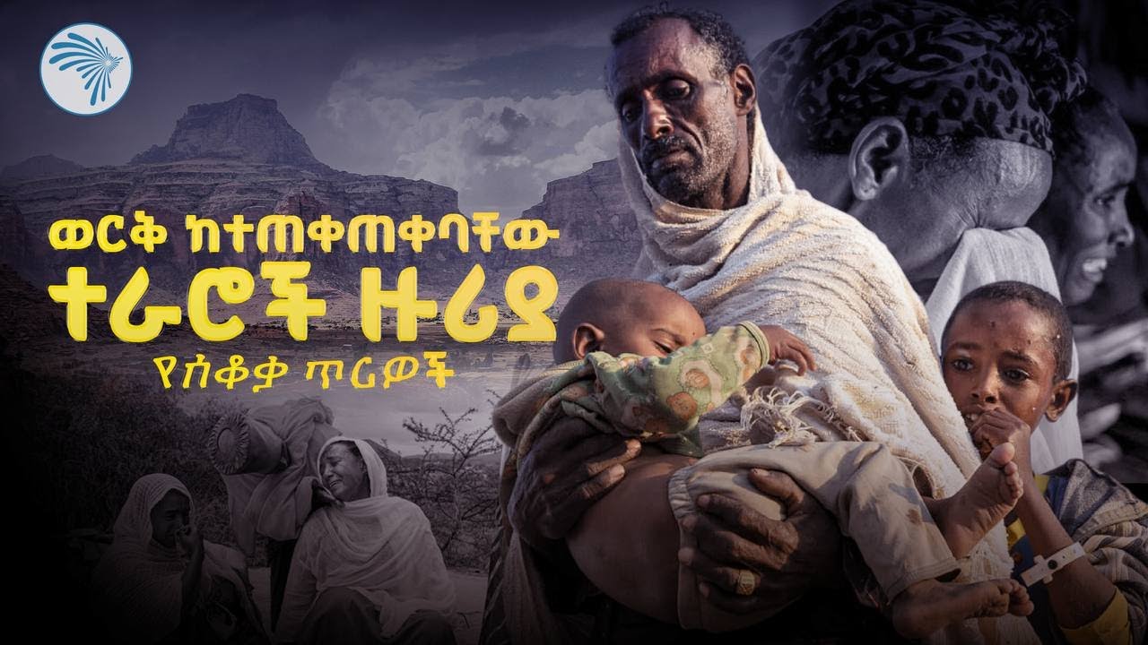 የአርትስ  ዐይኖች በሽረ ተራሮች  #ህፃፅ #Tigray @ArtsTvWorld