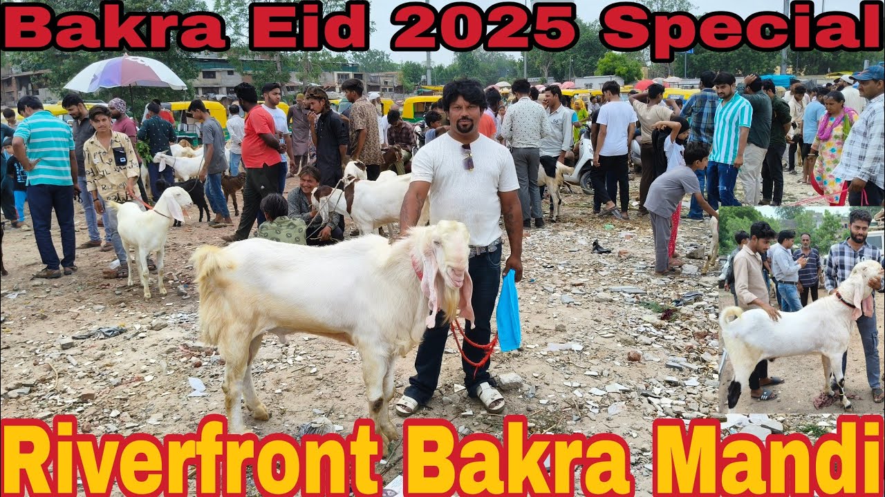 Riverfront Bakra Mandi on Sunday 1st June 2025