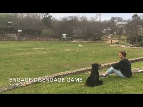 Dog Training Engage-Disengage Game