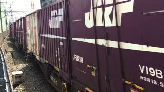 【4095レ】EF210-2牽引貨物列車八丁畷駅通過