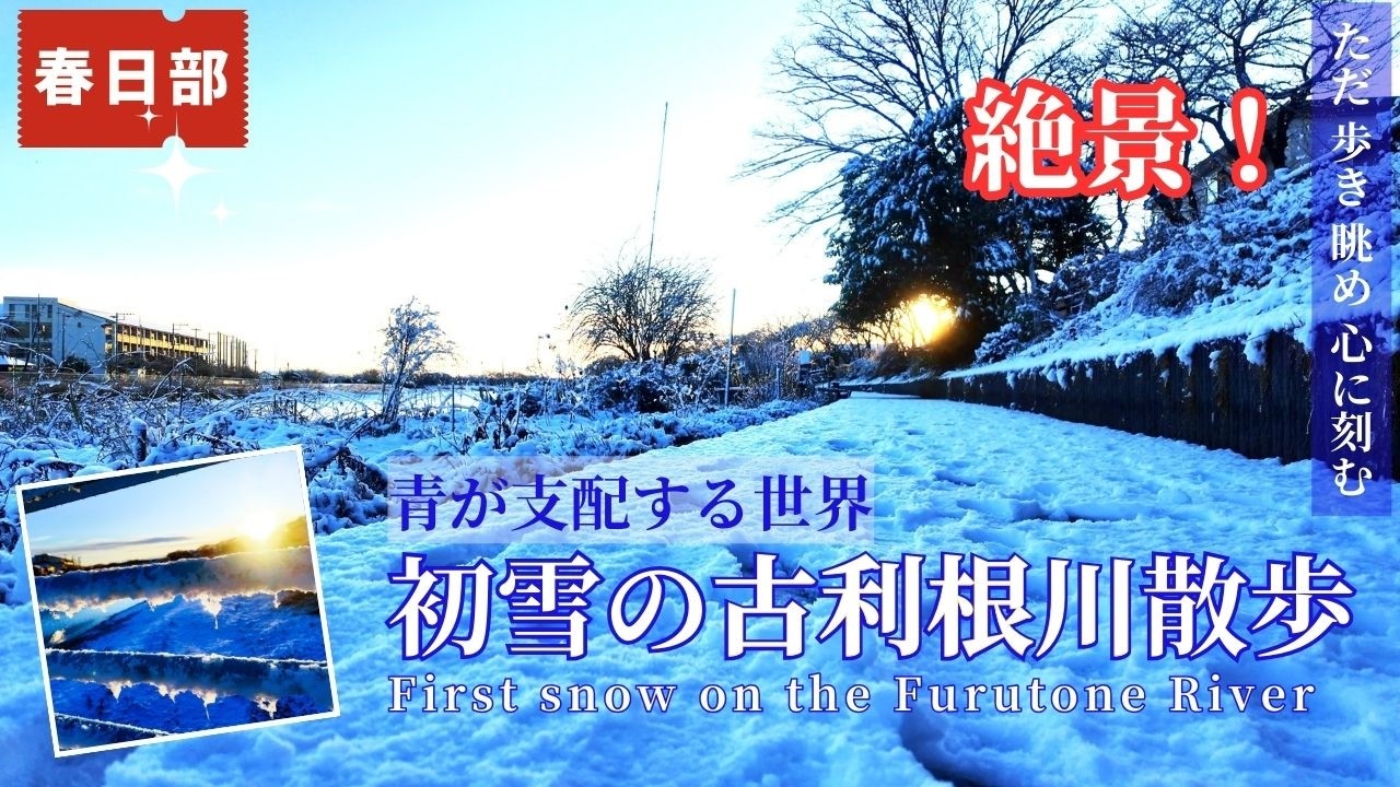 【お正月に訪れた初雪⛄春日部・古利根川】雪の古利根川を歩く朝｜八幡橋からゆりのき橋へ3つの橋を歩く静かな時間｜野鳥と鉄橋のある風景(風のテラス 川久保公園 牛島古川公園) kasukabe japan