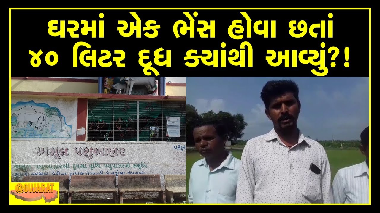 alleged synthetic milk production caught from amul dairy at anand | 40 liter milk from one buffalo?