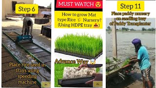 HDPE trays Method to grow Mat type #paddy nursery 👌 Advance n easy #paddytransplanter screenshot 5