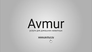 Видео-презентация для сервиса поиска ветеринарных услуг Avmur.ru(, 2016-04-12T09:37:45.000Z)