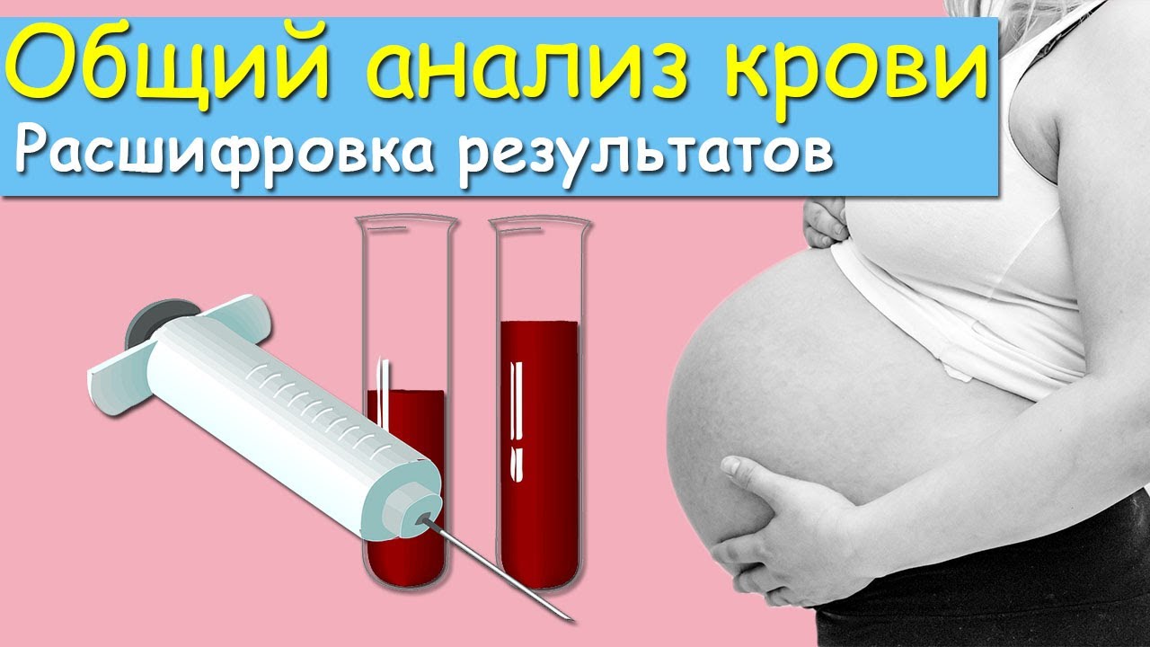 Общий анализ крови при беременности. Расшифровка результатов