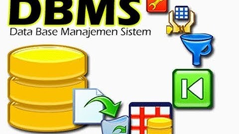 Attribute | Database Management System