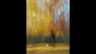 Intentional Camera Movement: Getting That Monet Effect screenshot 2