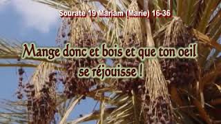 Sourate De Meriam Marie Par Abdelbet Abdessamad Extrait