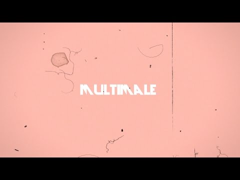 multimale collab