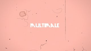 multimale collab