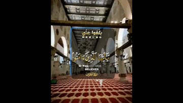 القارئ عمر الدريويز || Omar al darweez يا أيها الذين آمنوا صلوا عليه وسلموا تسليما ♥️