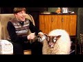 American Reacts to Father Ted (#12)