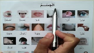 Le corps en arabe || الجسم بالعربية