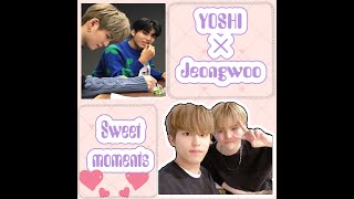 Yoshi has a docile maknae named Park Jeongwoo