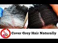 How To Turn White Or Grey Hair Into Black Naturally With No Chemicals Natural Hair Dye Step By Step