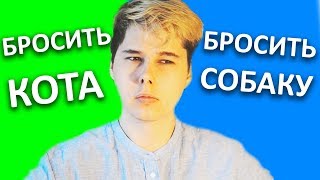 САМЫЙ СЛОЖНЫЙ ВЫБОР В ЖИЗНИ ДЛЯ МЕНЯ КОТ ИЛИ СОБАКА САМЫЙ СЛОЖНЫЙ ВЫБОР В ЖИЗНИ ДЛЯ МЕНЯ КОТ ИЛИ СОБАКА