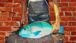 EXPERT FISH CUTTING VIDEO 2024 || RARE FISH CUTTING SKILLS IN FISH MARKET ACEHNESE 🔪🔥