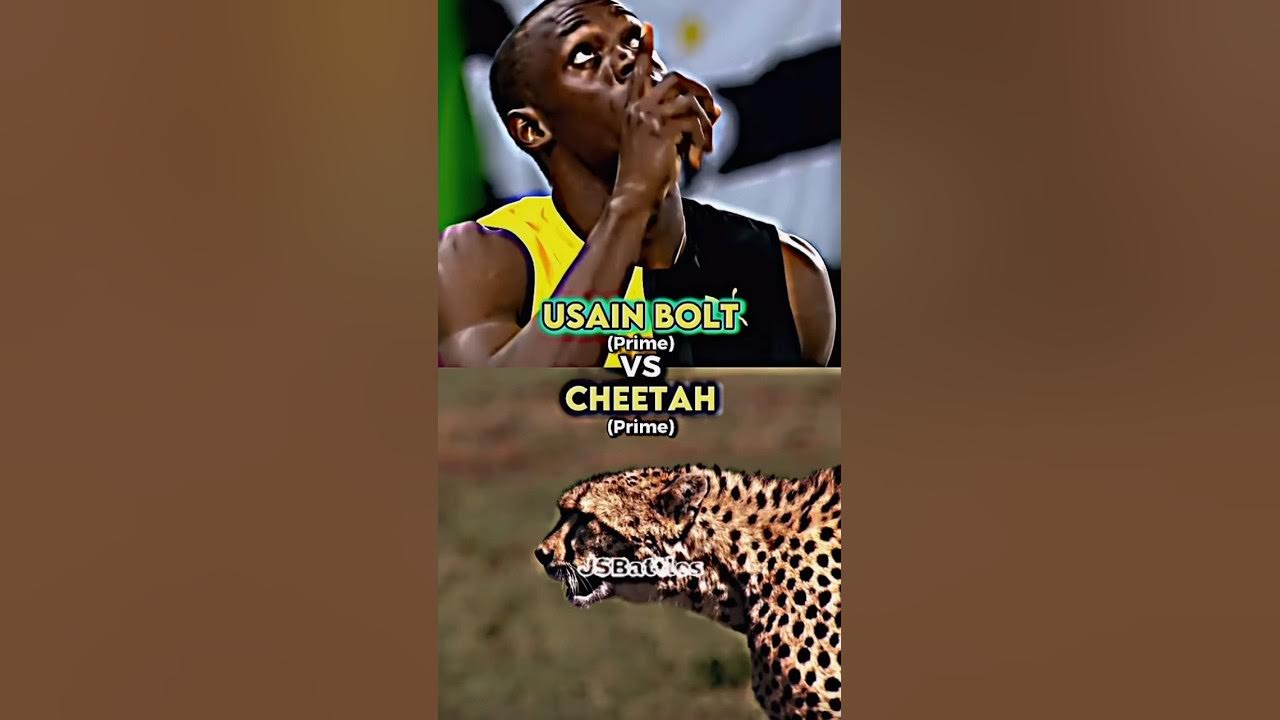 Usain Bolt vs Cheetah - YouTube