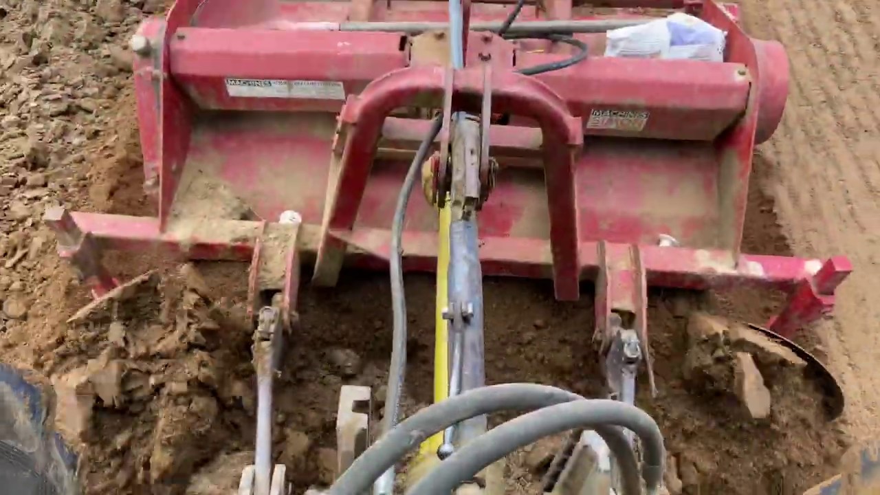 Le semis des carottes d’hiver