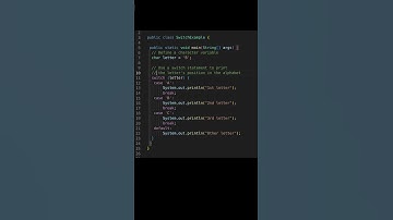 Switch Your Way Through Java: Mastering the Switch Statement