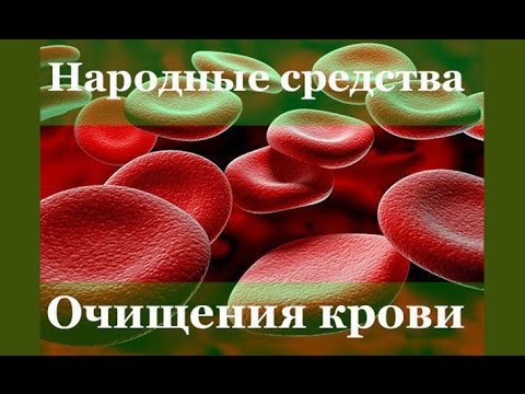 Доктор Увайдов. Очищение крови от токсинов или как очистить кровь