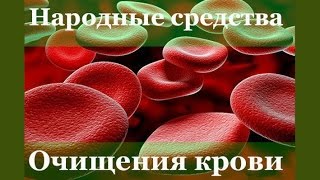 Доктор Увайдов. Очищение крови от токсинов или как очистить кровь