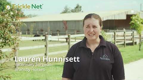 Trickle Net | Advert with Bransby Horses for Horse and Country TV