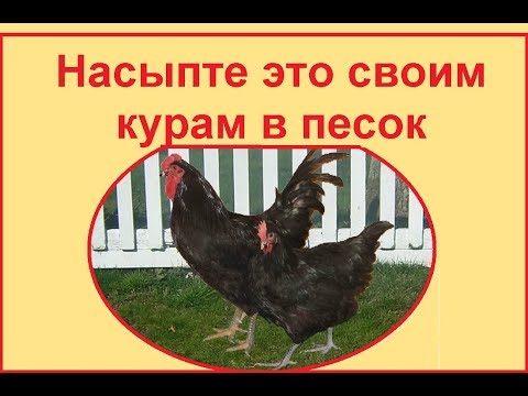 Привет из СССР - это для кур от блох, пероеда, пухоеда и других паразитов