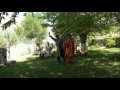 Tajik Dance Darvozy Duhtar #tajik #dance