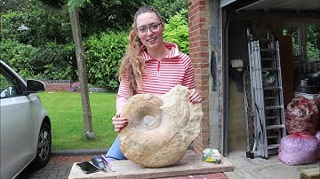 Megalytoceras Ammonite FINAL Prep - Fossil Friday